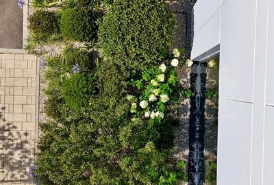 Apartament cu 2 camere în Vest - 8