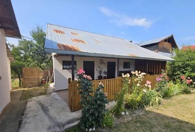 Casă cu 2 camere în Slătioarele - 4