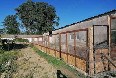 Casă cu 5 camere cu Teren 4500 Mp în Poiana - 3