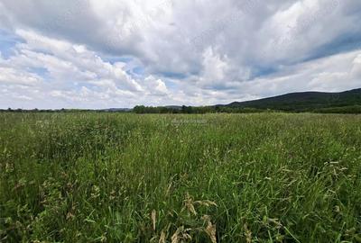 Teren de 500 mp, în Periferie - 2