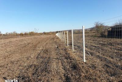 Teren de 8071 mp, în Lipănești - 3