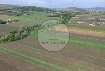 Teren de 10670 mp, în Borșa - 8