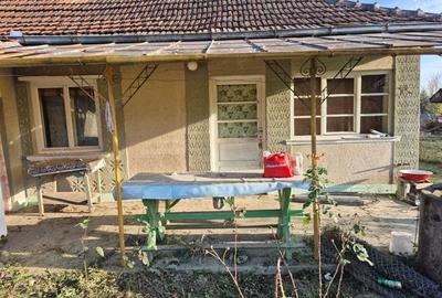 Casă cu 2 camere în Viile Satu Mare