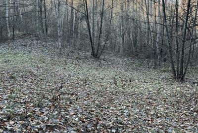 Teren de 15000 mp, în Valea