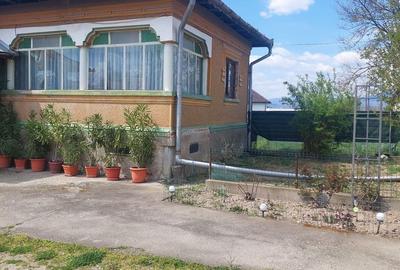 Casă cu 5 camere cu Teren 3500 Mp în Stănești