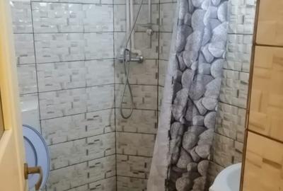 Apartament cu 2 camere semidecomandat în Tudor Vladimirescu - 7