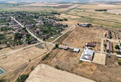 Teren Construcții intravilan de 90000 mp, în Bărăteaz - 23