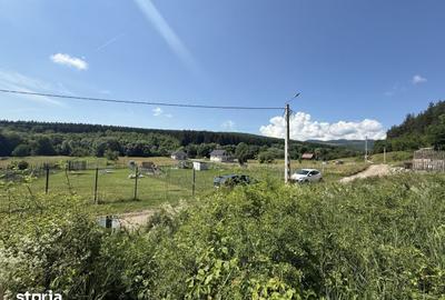 Teren de 1500 mp, în Sava - 3