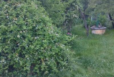 Casă cu 5 camere cu Teren 1000 Mp în Agăș - 2