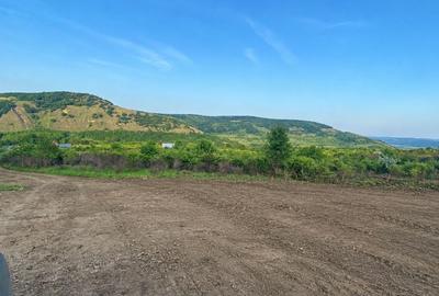 Teren de 2800 mp, în Glogoveț