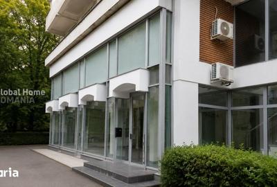 Spațiu comercial, de 280 mp, în Grivița - 3