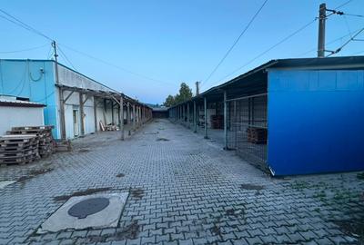 Spațiu comercial, de 1,236 mp, în Govândari - 14