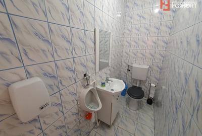 Spațiu comercial, de 170 mp, în Denta - 10