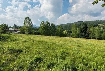 Teren de 5523 mp, în Vaideeni - 12