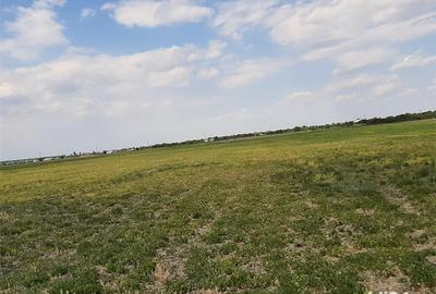 Teren de 5000 mp, în Central - 4