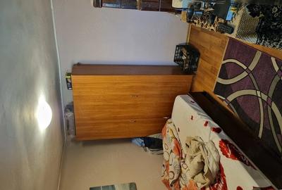 Casă cu 2 camere cu Teren 1500 Mp în Copaciu - 9
