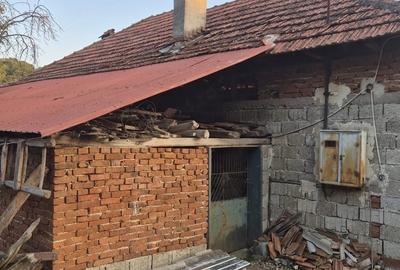Casă cu 4 camere cu Teren 5108 Mp în Poienari (Poienarii de Muscel) - 2