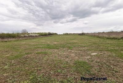 Teren Construcții intravilan de 1000 mp, în Sisești - 1