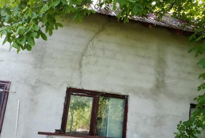Teren de 18000 mp, în Topliceni