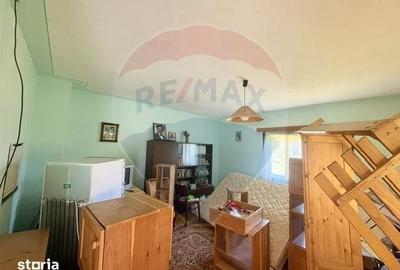 Casă cu 3 camere cu Teren 6039 Mp în Desești - 7