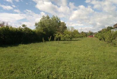 Teren de 4005 mp, în Girov - 8