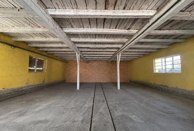Spațiu industrial, de 150 mp, în Borș - 3