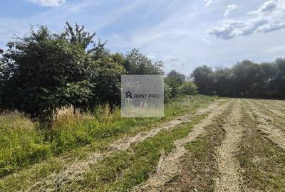 Teren agricol extravilan de 11000 mp, în Neajlovu - 12