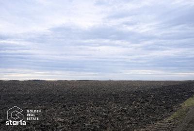 Teren de 17900 mp, în Sânmihaiu Român - 2