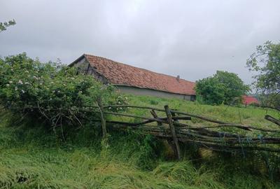 Spațiu comercial, în Vasile Alecsandri - 15