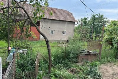 Casă cu 2 camere în Strei - 5