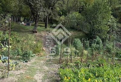 Casă cu 3 camere în Central