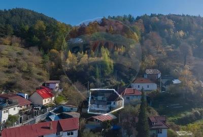 Casă individuală cu 4 camere cu Teren 254 Mp în Schei - 3