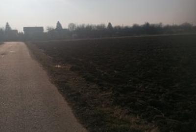 Teren intravilan de 7298 mp, în Ciorogârla - 2