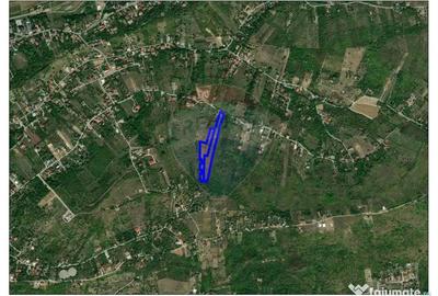 Teren de 16630 mp, în Dealuri Oradea - 1