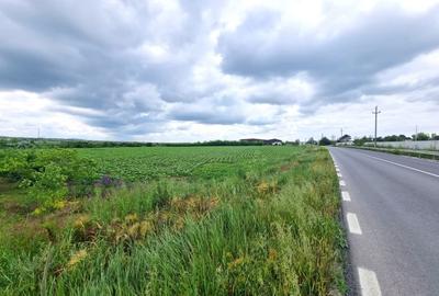 Teren de 4000 mp, în Ovidiu - 2
