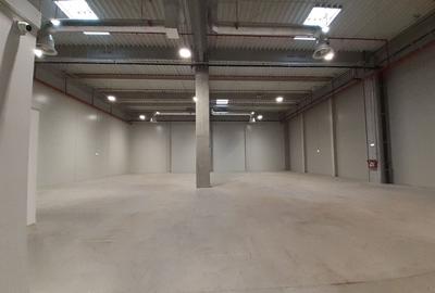 Spațiu industrial, de 786 mp, în 23 August (Cațelul) - 2