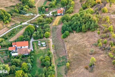Teren de 3200 mp, în Aghireșu