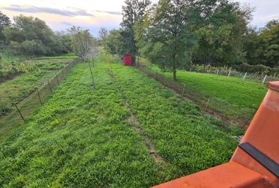 Casă individuală cu 4 camere cu Garaj în Călan - 15