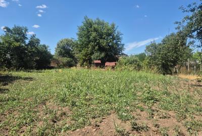 Teren agricol intravilan de 1400 mp, în 23 August - 1