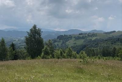 Teren de 8800 mp, în Peștera - 2
