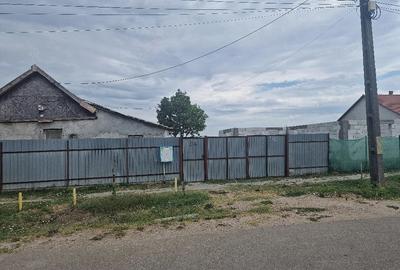 Casă cu Teren 2158 Mp în Socodor