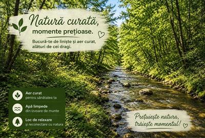 Teren de 4513 mp, în Rugetu (Slătioara) - 2