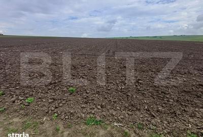 Teren de 3256 mp, în Bosanci