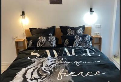 Apartament cu 2 camere semidecomandat în Parcul Carol - 7