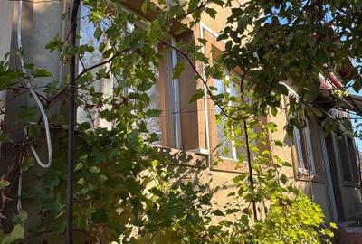 Casă cu 4 camere în Beiu - 7