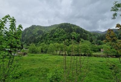 Teren Construcții intravilan de 1775 mp, în Sătic - 8