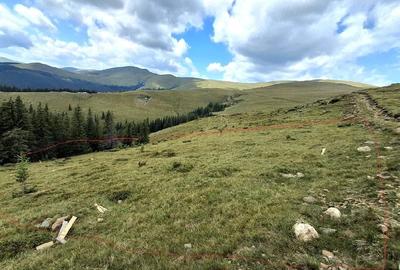 Teren de 2000 mp, în Central