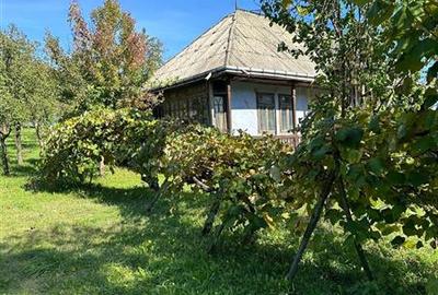 Teren intravilan de 4872 mp, în Antoceni - 2