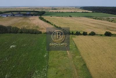Teren Construcții intravilan de 506 mp, în Ostratu - 1