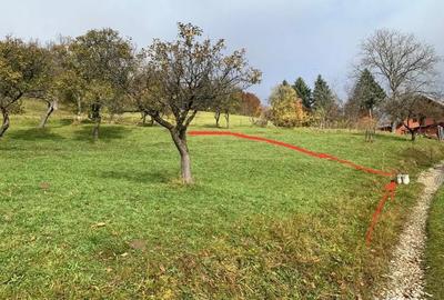 Teren de 2100 mp, în Moieciu - 3